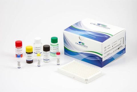 Leptin ELISA Kit Complete Guide to Hormone Detection and Quantitative Analysis